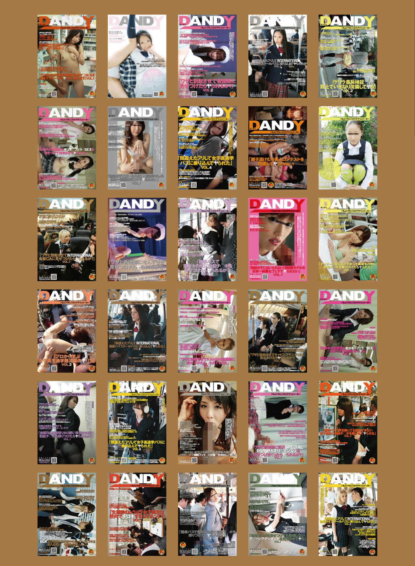 DANDY2周年公式コンプリートエディション ちょいワル全仕事集 2007年6月～2008年5月